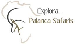 Palanca Safaris