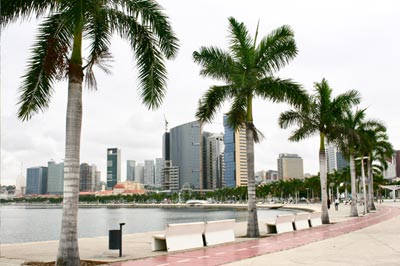 SAFARI PHOTOS PALANCAS NEGRAS