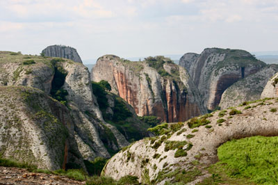 SAFARI PHOTOS PALANCAS NEGRAS