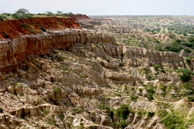 Palanca Safaris: DECOUVERTE