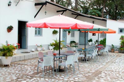 Palanca Safaris: DECOUVERTE