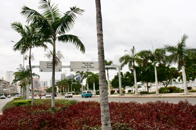 Palanca Safaris: DECOUVERTE