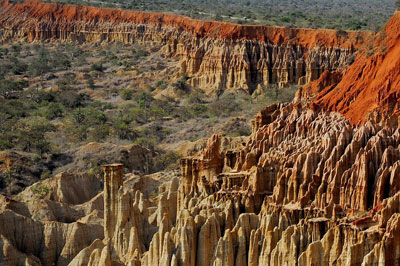 SAFARI PHOTOS PALANCAS NEGRAS
