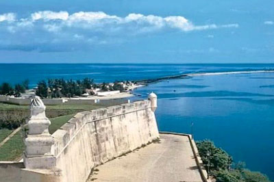 Palanca Safaris: DECOUVERTE