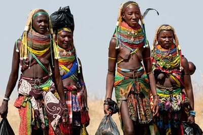 Palanca Safaris: DECOUVERTE